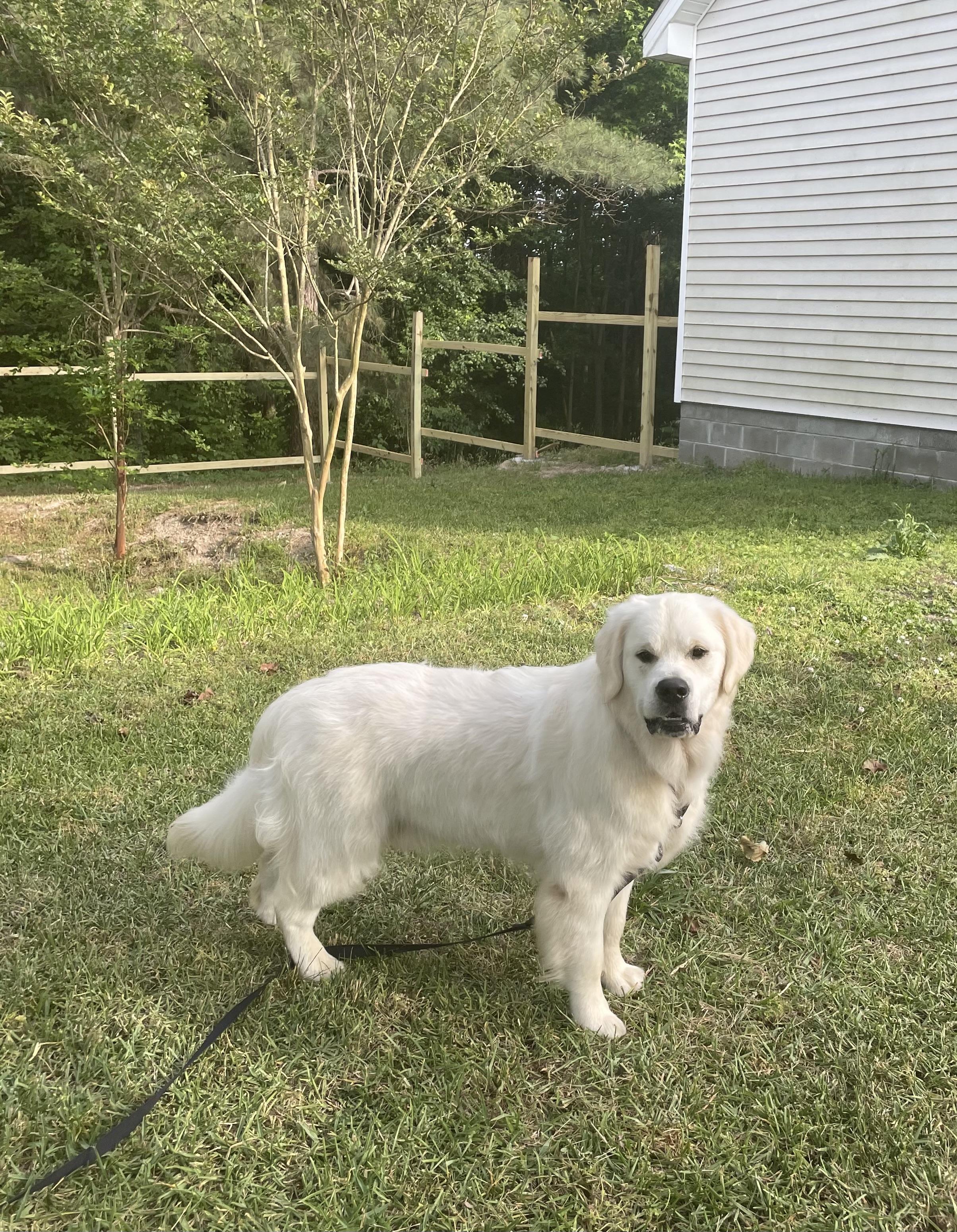 Charlie