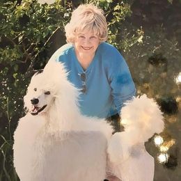 Poodles from Versace’s Standards