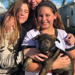 German Shepherd Puppies from Keys K9s