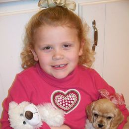 Cocker Spaniel Puppies from Richards' Cocker Kennel