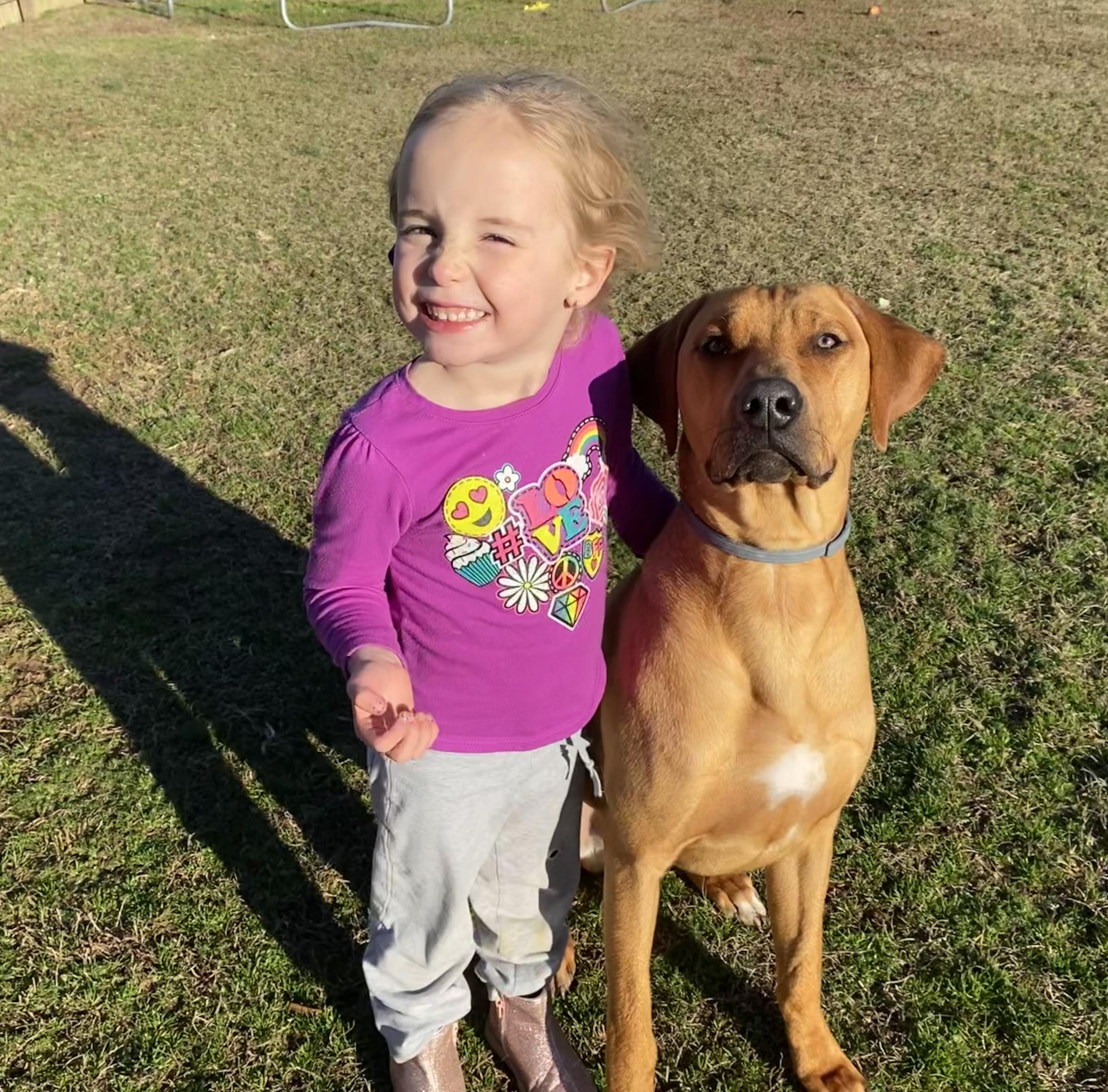 Zira's Pride Rhodesian Ridgebacks in Arkansas | Rhodesian Ridgeback ...
