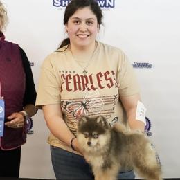 Pomskies from OG's Pomskies