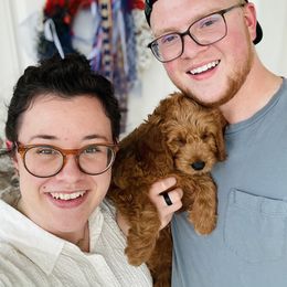 Goldendoodle Puppies from JD GoldenDoodles