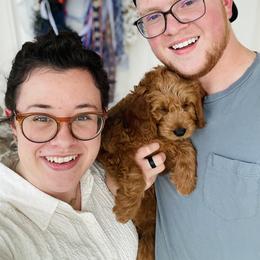 Goldendoodle Puppies from JD GoldenDoodles