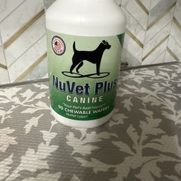 Pomeranian Puppies from Mac Daddy Poms