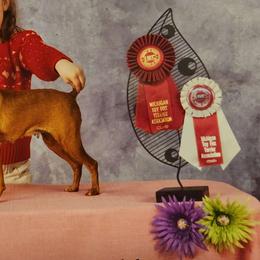 Miniature Pinschers from Hundeholz