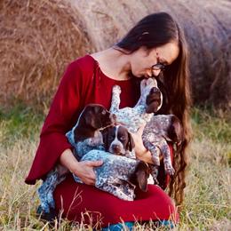German Shorthaired Pointer puppies from OutBark Dogs & Kennels