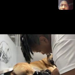 Dutch Shepherd and German Shepherd Puppies from ColesPoliceDogs