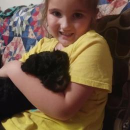 Miniature Schnauzer Puppies from Starbound Miniture Schnauzer's