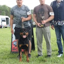Rottweiler puppies from Vom Wesburg Rottweilers