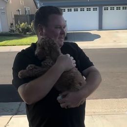 Angel - Apricot female Goldendoodle puppy in Lancaster, California from Kid's Best Doodle