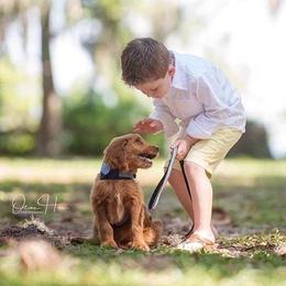 Bernedoodles and Goldendoodles from Beach Creek Doodles