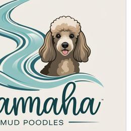 Poodles from Altamaha Mud Poodles LLC.