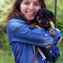 Rottweiler Puppies from Nikki Gregory