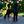 Unnamed