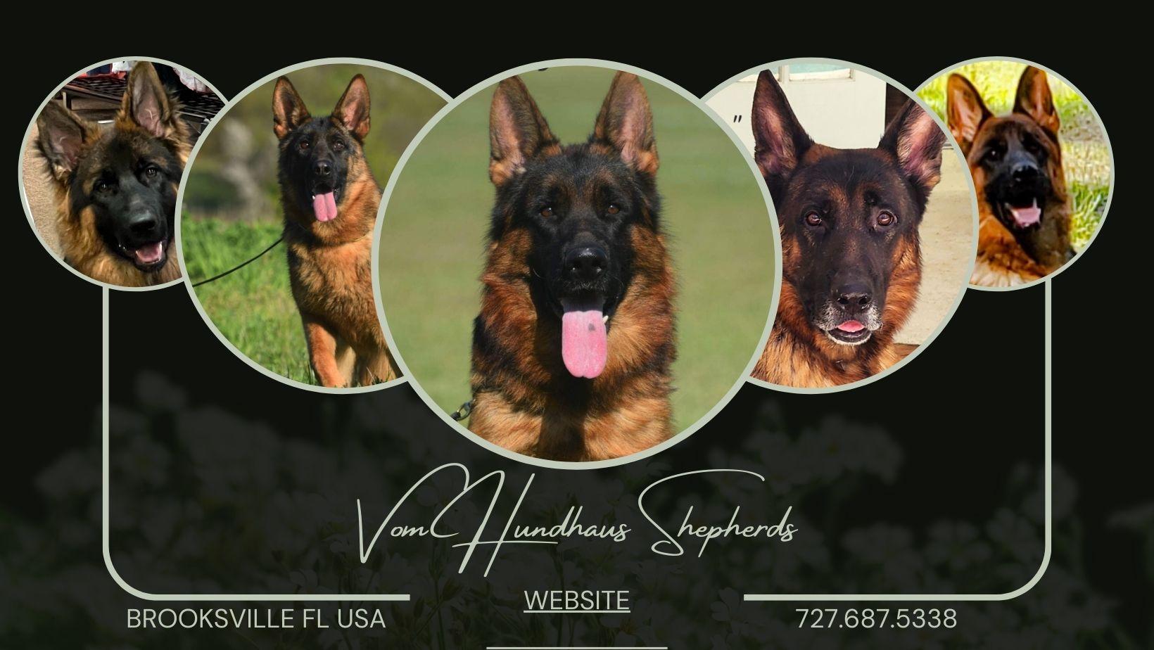 Vom Hundhaus Shepherds