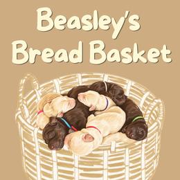Labradoodle puppies from Lucky Labradoodles