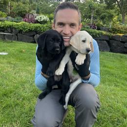 Labrador Retriever Puppies from Mayfield Farm