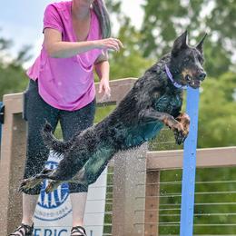 Beaucerons from Feu de l'Âme Beaucerons