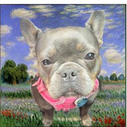 Chanely - French Bulldog
