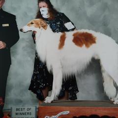 Redford - Borzoi
