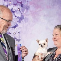 Skittles - Chihuahua