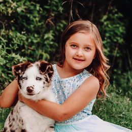 Australian Shepherd Puppies from Spotted Mule Aussies