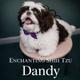 Dandy