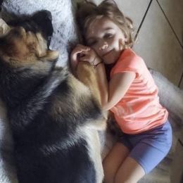 German Shepherd Puppies from Dawnhill