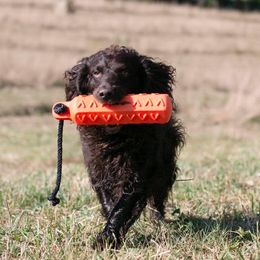 Boykin Spaniels from CommandsK9
