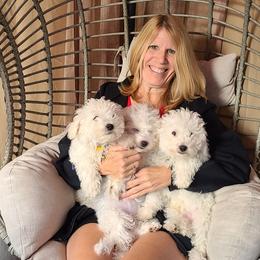 Bichon Frise Puppies from Sue's Bichon Babies