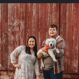 Golden Retriever Puppies from Fiddle In Gold Retrievers