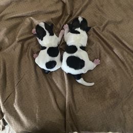 Miniature Schnauzer Puppies from hallie lively