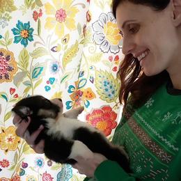 Pembroke Welsh Corgi Puppies from Corgis Hawaii Pleasantstone Aloha Corgis