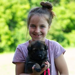 Girl 3 - female German Shepherd puppy in Lanesboro, Minnesota from Mid-Daylich Hotzaw