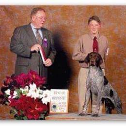 German Shorthaired Pointer All Grown Up from Majestik Kennels