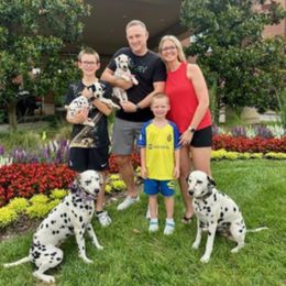 Storm.   Orange collar - White and black female Dalmatian puppy in Decatur, Alabama from Hollytree Dalmatians