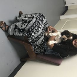 English Springer Spaniel Puppies from River’s Edge ~ English Springer Spaniels